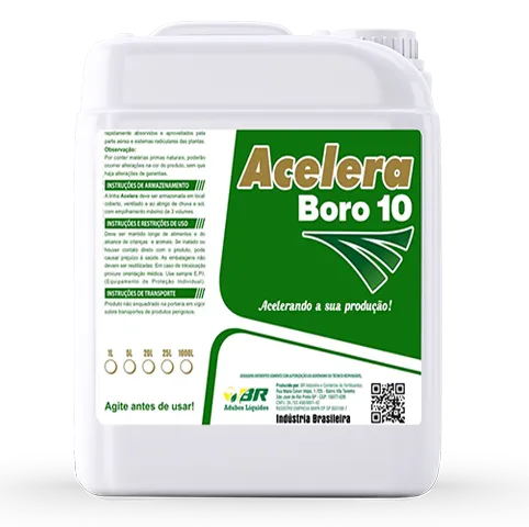 Acelera Boro